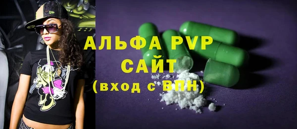 ECSTASY Вяземский