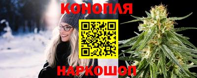 шишки Берёзовский