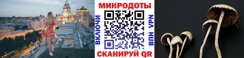 Псилоцибиновые грибы прущие грибы  блэк спрут ТОР  Владикавказ  купить наркотики цена 