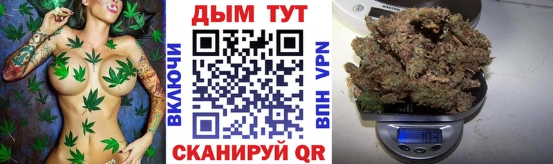 Конопля ГИДРОПОН купить цена Владикавказ